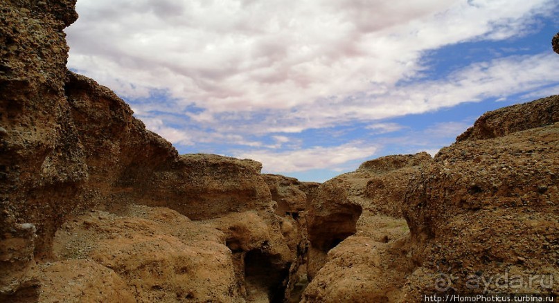 Шесть ремней