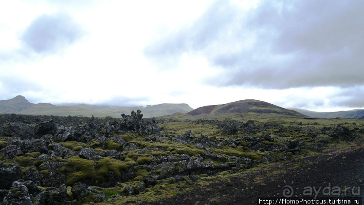 Большая горячая ледяная земля. 4. Западные зигзаги