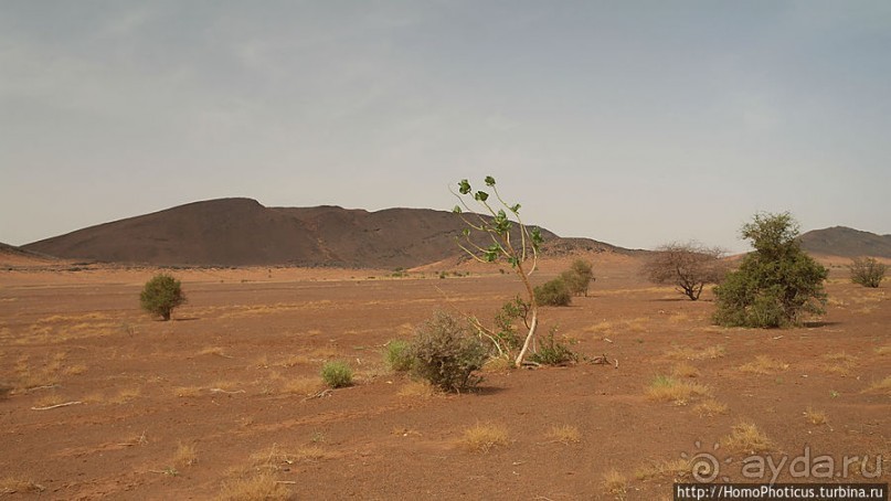 Дыхание Великой Пустыни