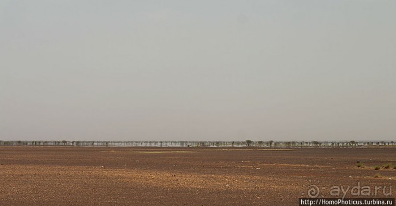 Дыхание Великой Пустыни