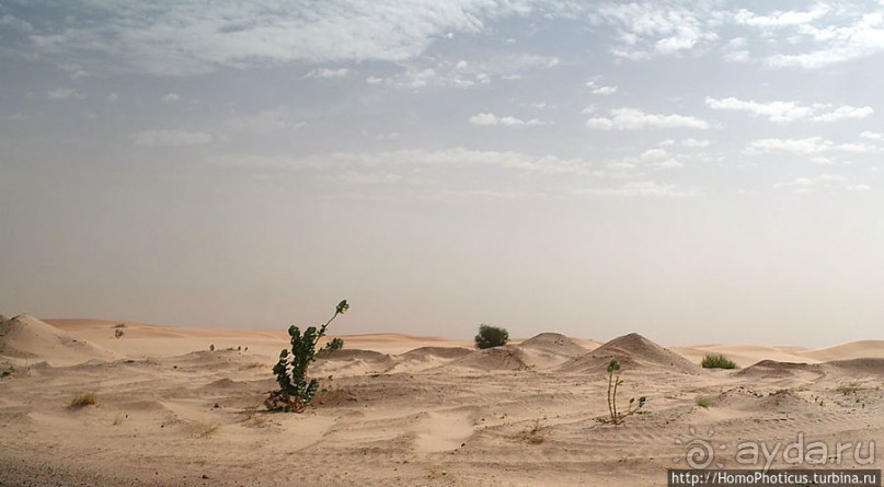 Дыхание Великой Пустыни