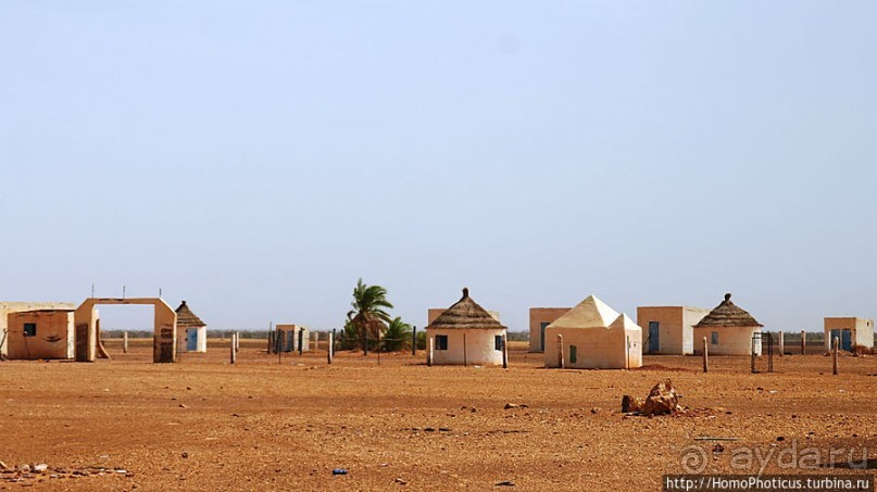 Дыхание Великой Пустыни