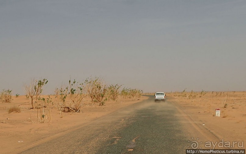 Дыхание Великой Пустыни