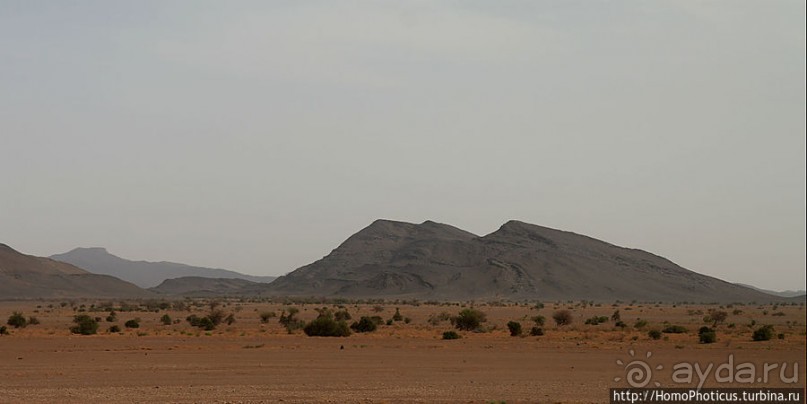 Дыхание Великой Пустыни