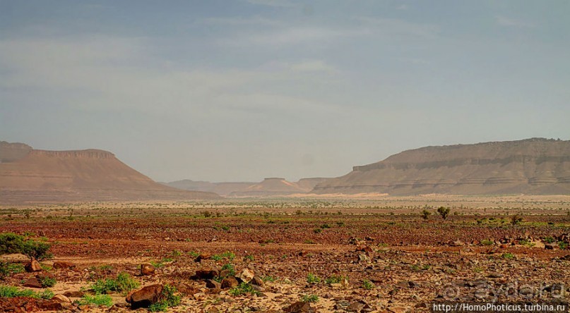 Дыхание Великой Пустыни