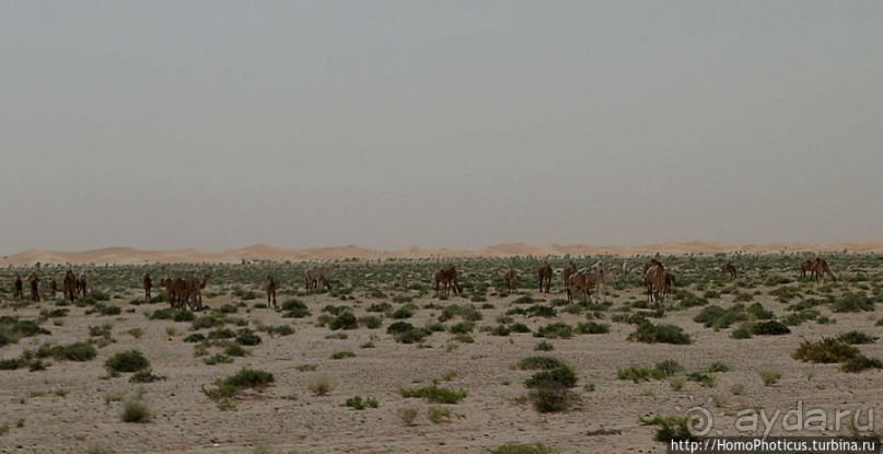 Дыхание Великой Пустыни