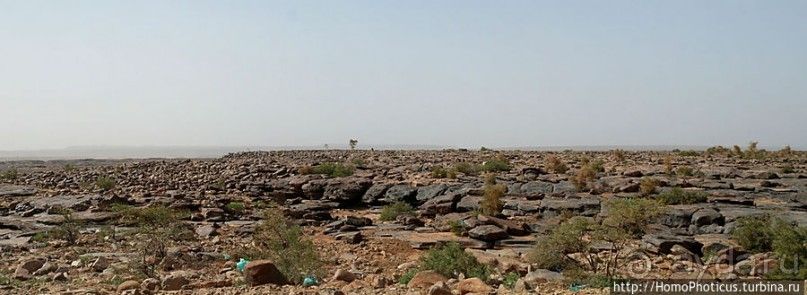 Дыхание Великой Пустыни