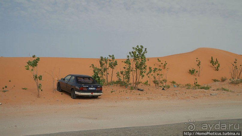 Дыхание Великой Пустыни