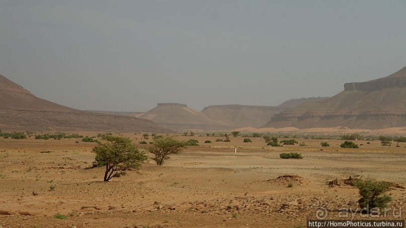 Дыхание Великой Пустыни