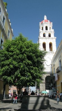 Меж четырех вулканов