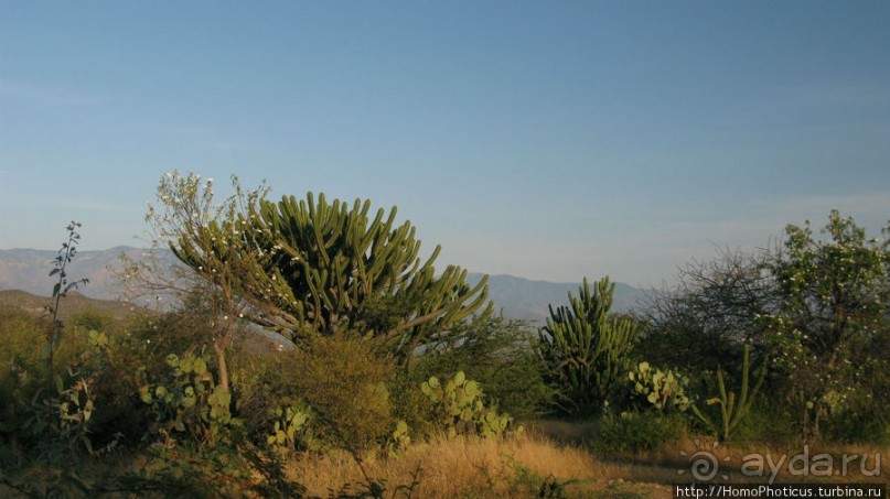 Меж четырех вулканов