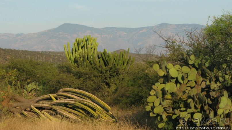 Меж четырех вулканов