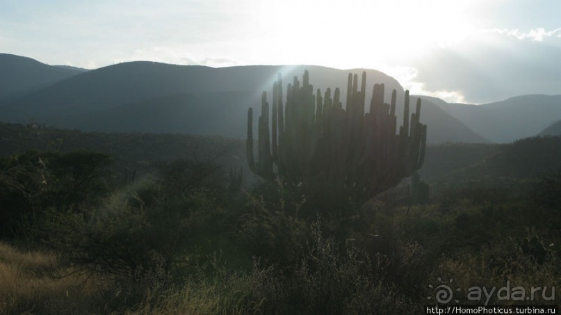Меж четырех вулканов