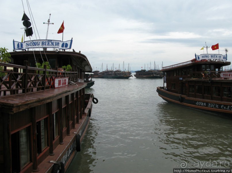 Там, где дракон спустился в море