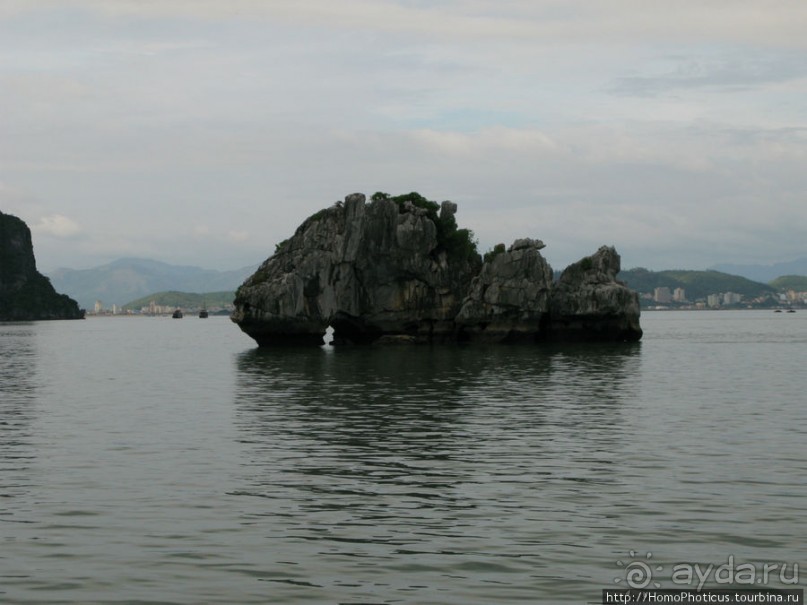 Там, где дракон спустился в море