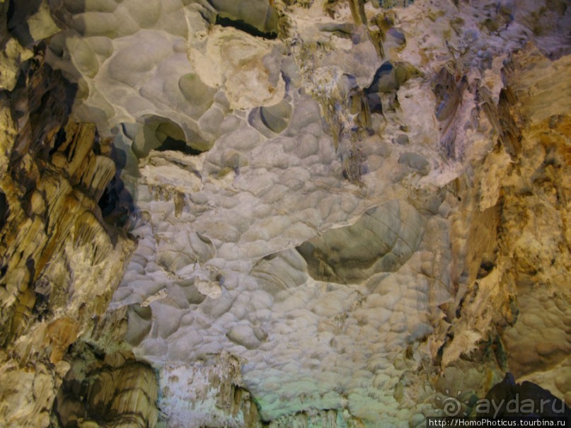 Там, где дракон спустился в море