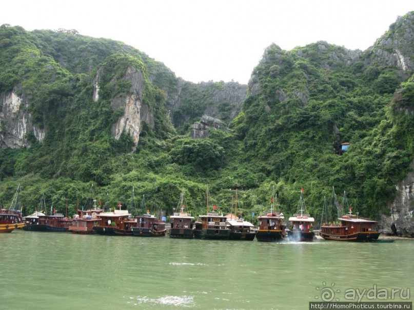 Там, где дракон спустился в море