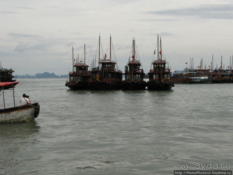 Там, где дракон спустился в море