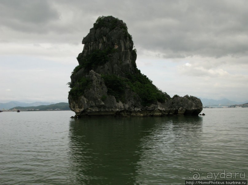 Там, где дракон спустился в море