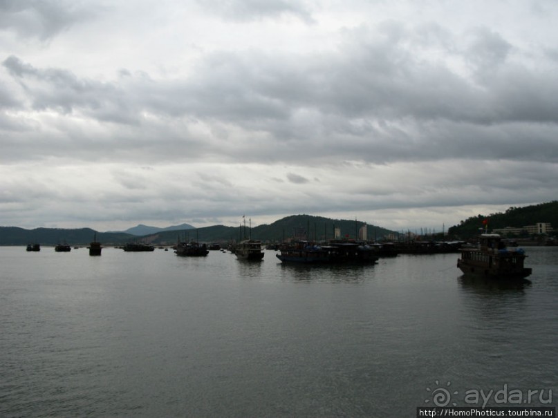 Там, где дракон спустился в море