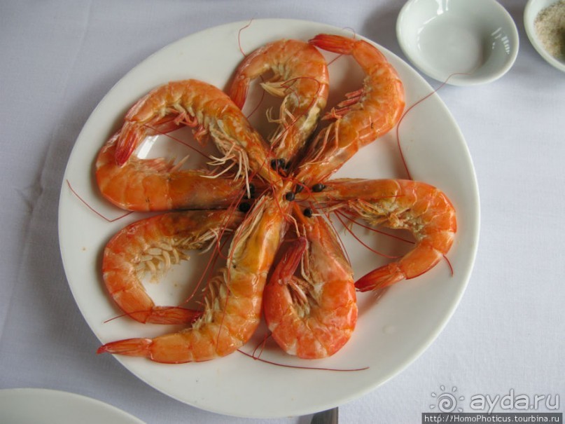 Там, где дракон спустился в море