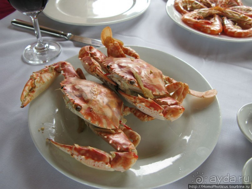 Там, где дракон спустился в море