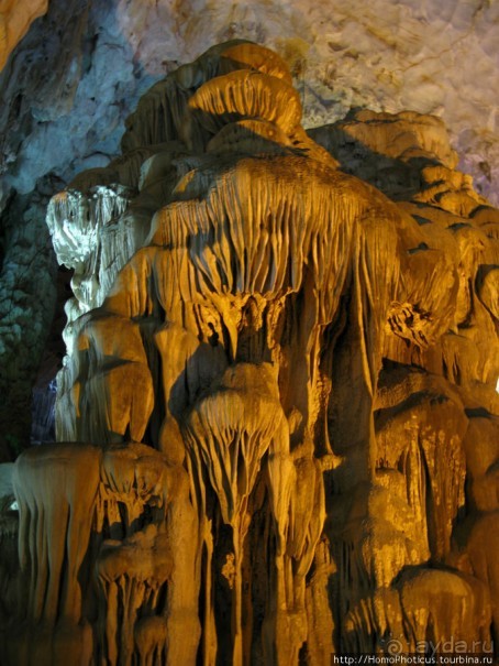 Там, где дракон спустился в море