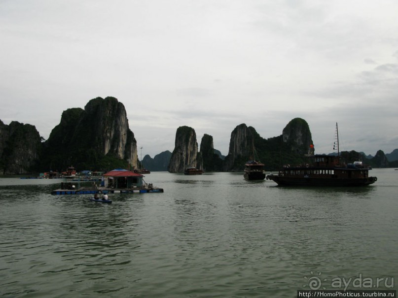 Там, где дракон спустился в море
