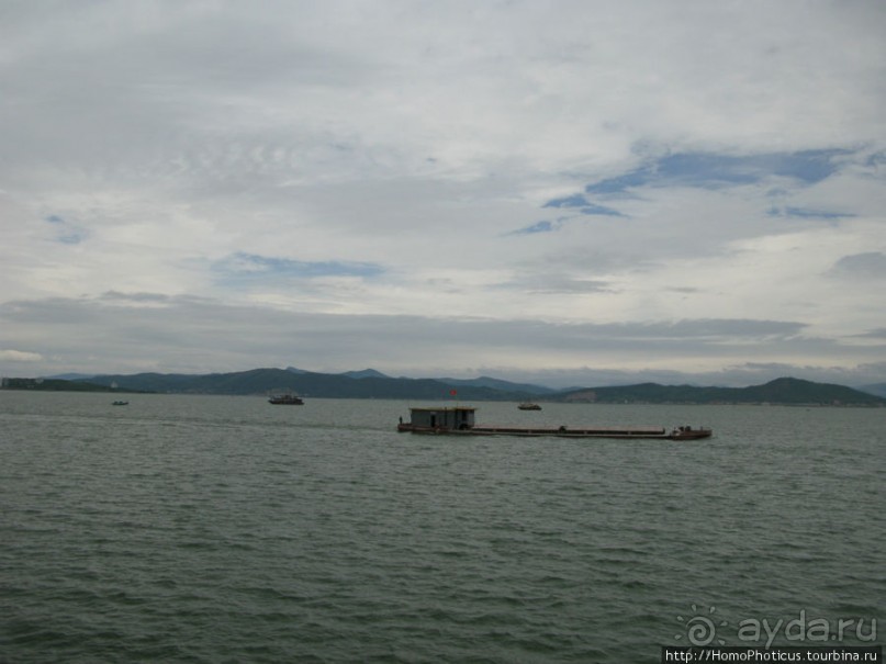 Там, где дракон спустился в море