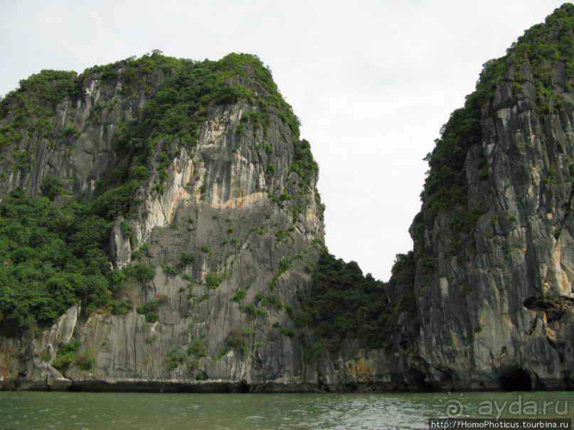 Там, где дракон спустился в море