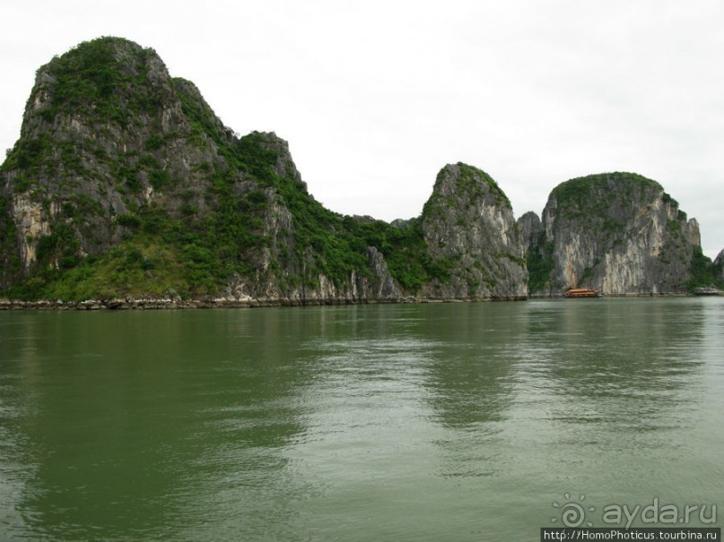 Там, где дракон спустился в море