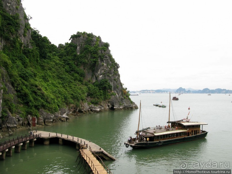 Там, где дракон спустился в море