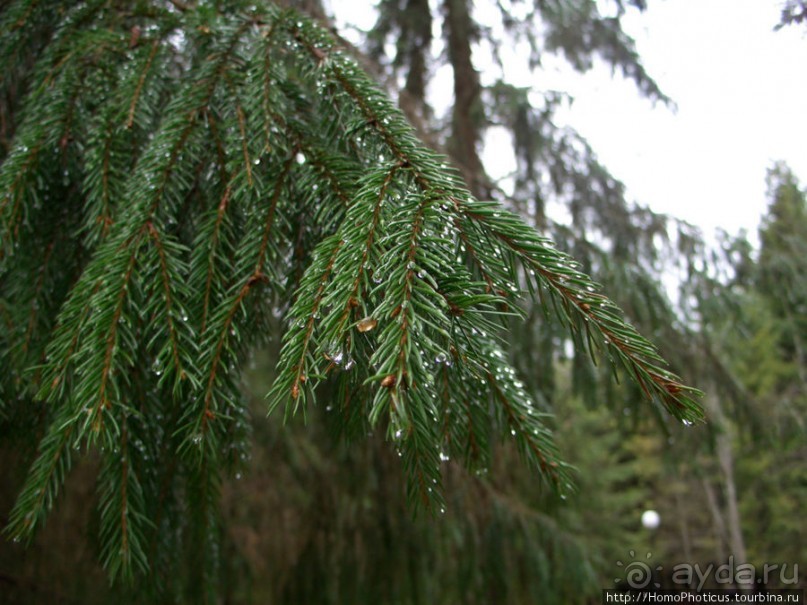 Подмосковный Иерусалим