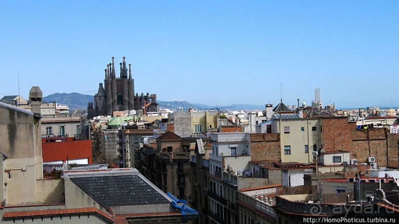 Дорогой Гауди