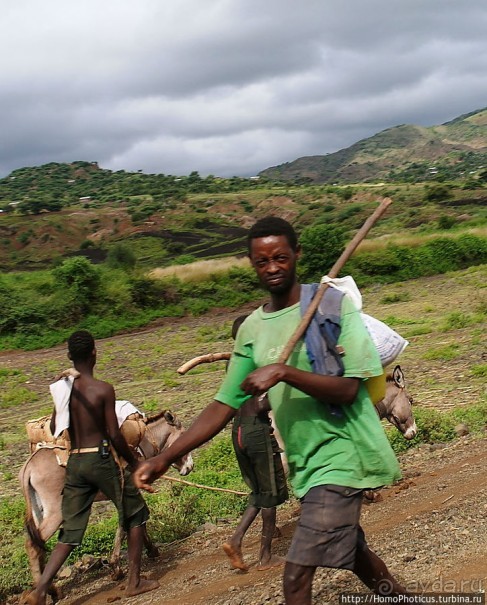 Этнография Эфиопии: типажи консо