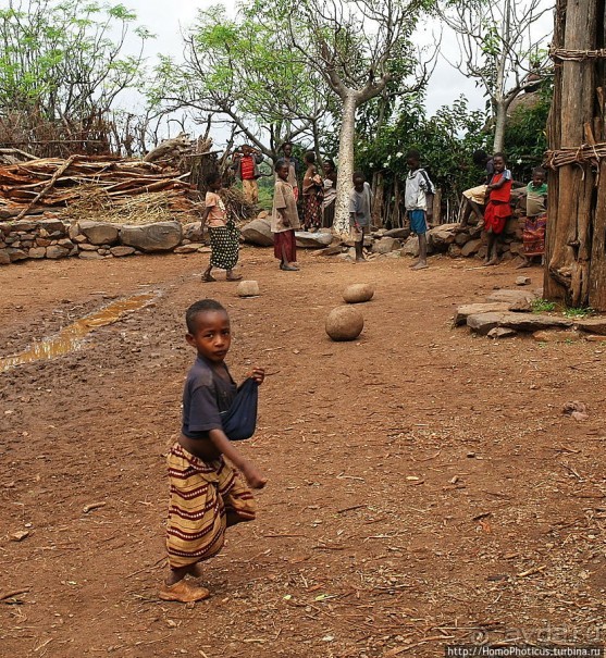 Этнография Эфиопии: типажи консо