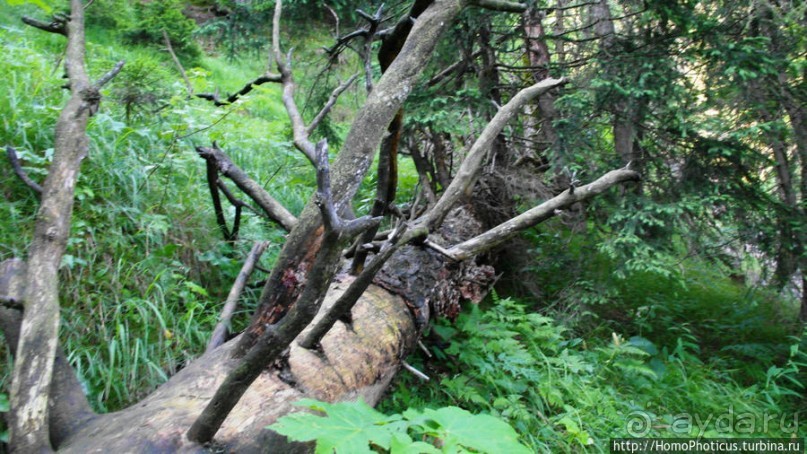 Вокруг замков