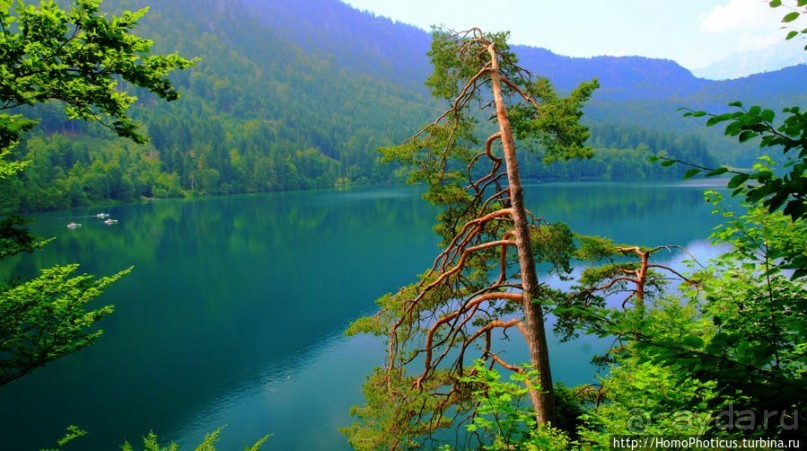 Вокруг замков