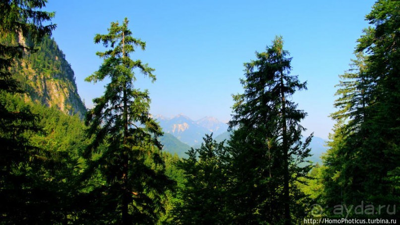 Вокруг замков