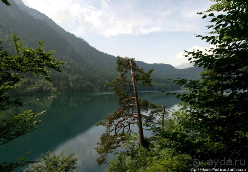 Вокруг замков