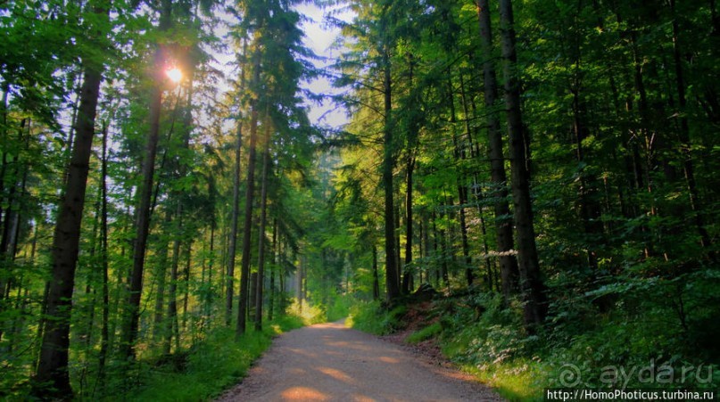 Вокруг замков