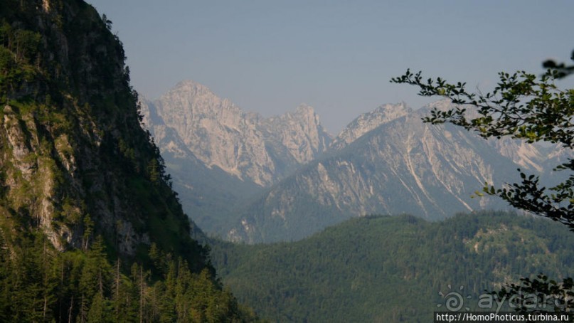 Вокруг замков