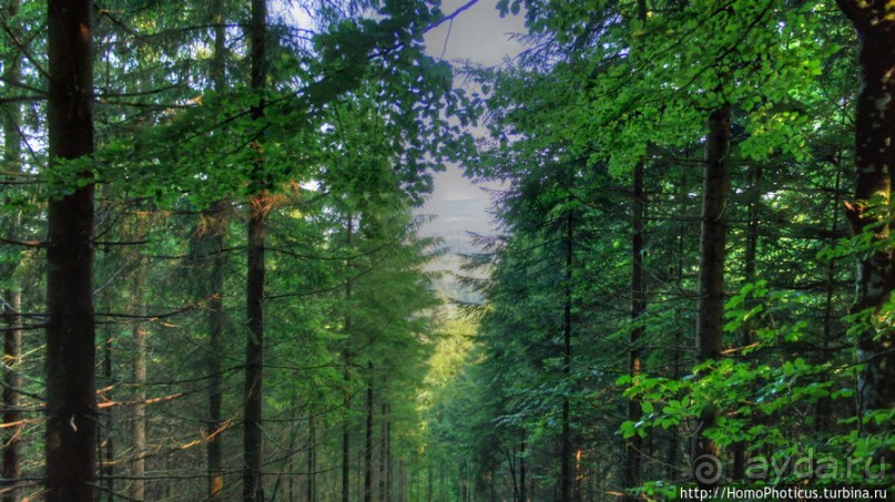 Вокруг замков