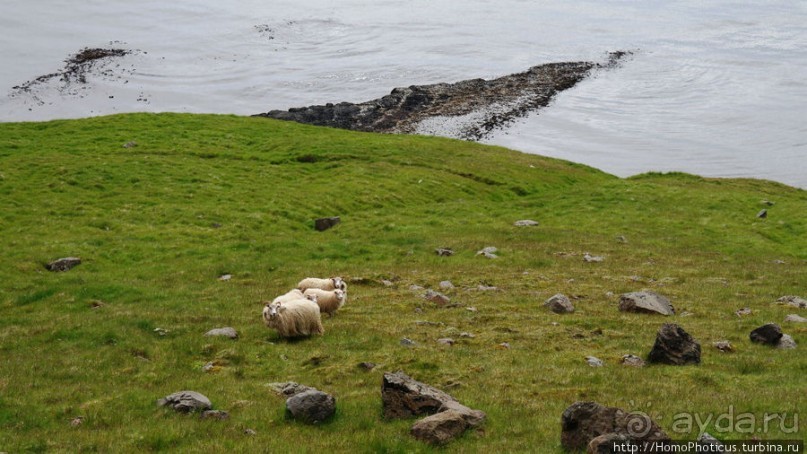 Каменные фьорды и каменные яйца