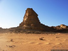 Небоскребы пустыни