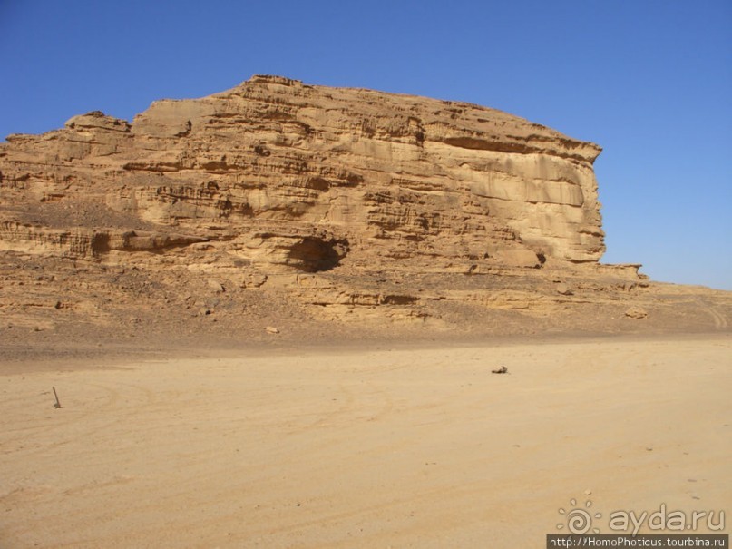 Небоскребы пустыни