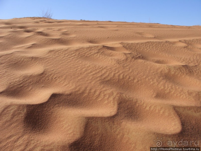 Небоскребы пустыни