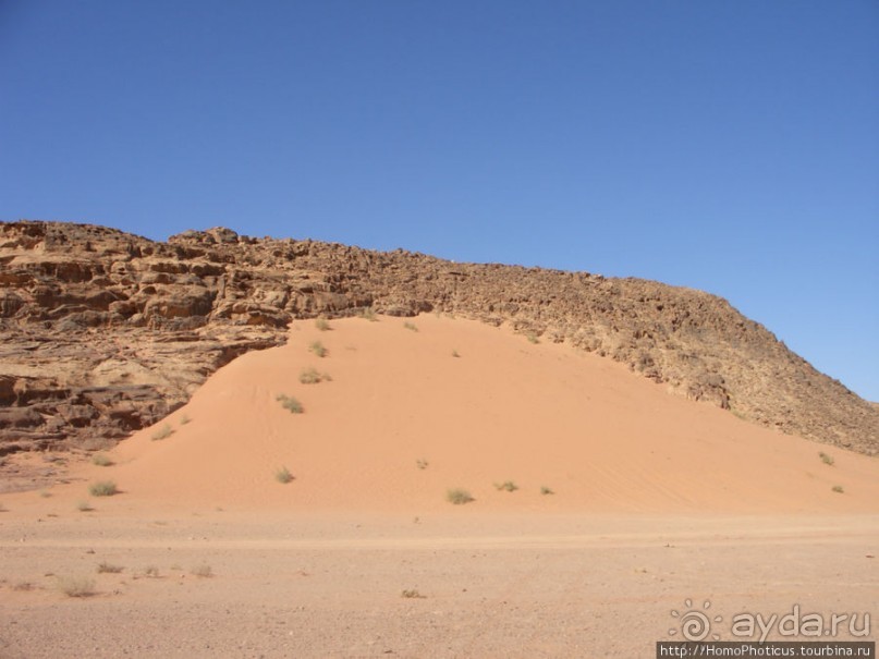 Небоскребы пустыни