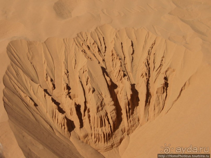 Небоскребы пустыни