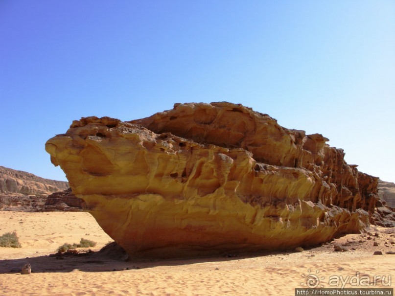 Небоскребы пустыни